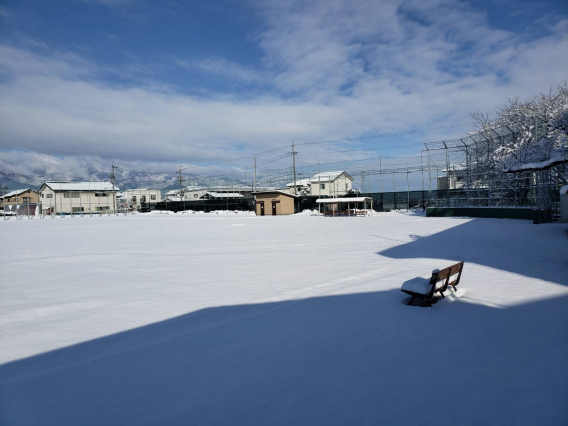 今年は冬らいし冬